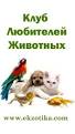 Клуб любителей животных в Пригорске, фото